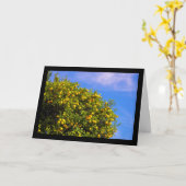 Mandarinenbaum unter blauem Himmel Karte (Gelbe Blume)