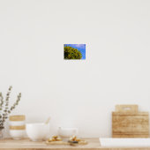 Mandarinenbaum unter blauem Himmel Poster (Küche)
