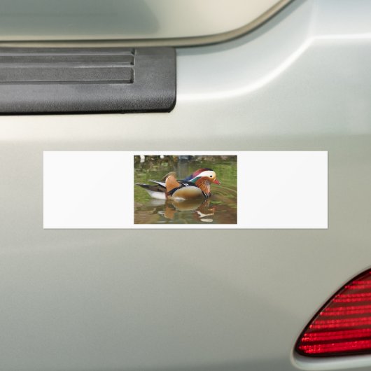 Mandarinenente Autoaufkleber (Auf Auto)