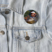 Mandarinenente Button (Beispiel)