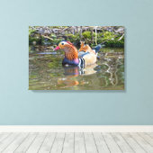 Mandarinenente Leinwanddruck (Insitu (Holzboden))