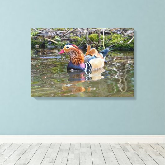 Mandarinenente Leinwanddruck (Insitu (Holzboden))