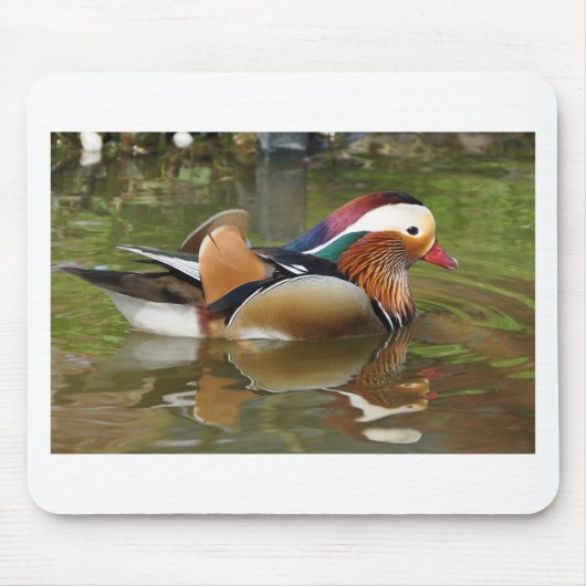 Mandarinenente Mousepad (Vorne)