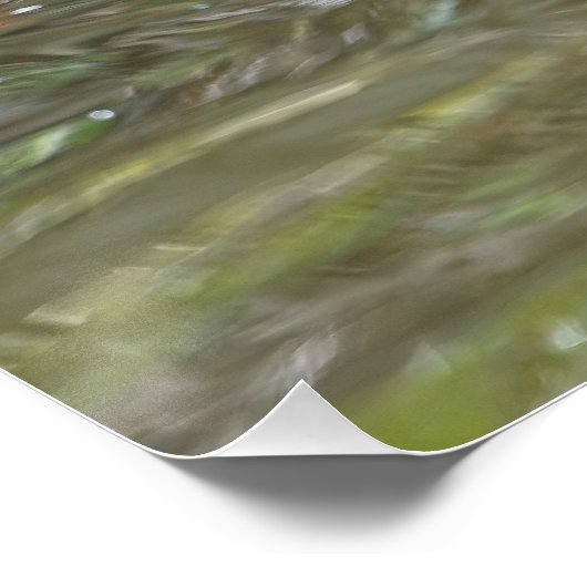 Mandarinenente Poster (Ecke)