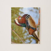 Mandarinenente Puzzle (Vertikal)