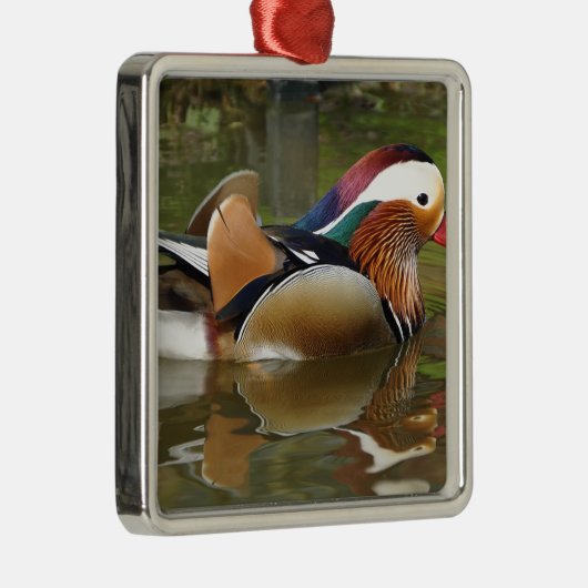 Mandarinenente Silbernes Ornament (Rechts)