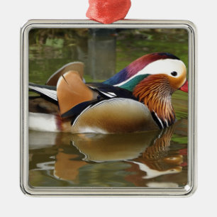 Mandarinenente Silbernes Ornament