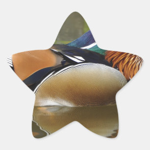 Mandarinenente Stern-Aufkleber