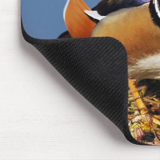 Mandarinenente von Männern am Ufer des Teiches Mousepad (Ecke)