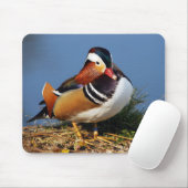 Mandarinenente von Männern am Ufer des Teiches Mousepad (Mit Mouse)