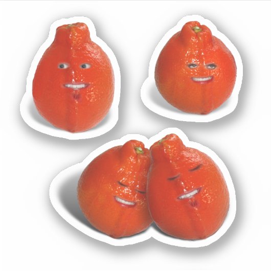 Mandarinenliebe Aufkleber (Vorderseite)