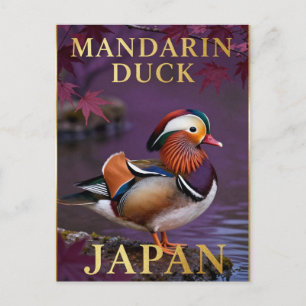 🦆 Mandarinente Japan Exotischer Vogel Postkarte