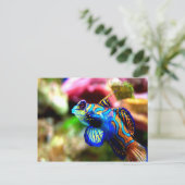 Mandarinfan Synchiropus splendidus Postkarte (Stehend Vorderseite)