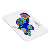 Mandarinfish Cartoon Illustration Magnet (Rechte Seite)