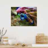 Mandarinfish Poster (Küche)