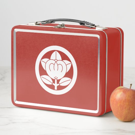 Mandarinorange in einem Kreis Lunch Boxen (Beispiel)