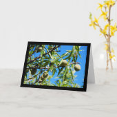 Mandel unter blauem Himmel Karte (Gelbe Blume)