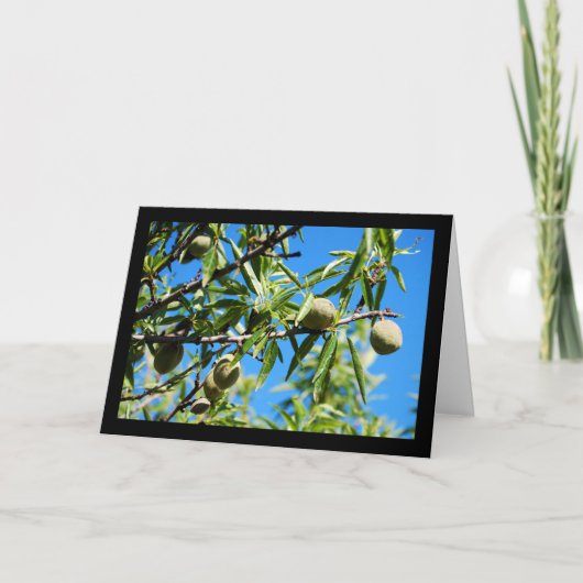 Mandel unter blauem Himmel Karte (Vorderseite)