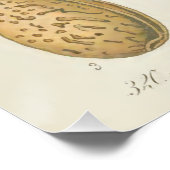 Mandelbaum, Amygdalus communis, Poster (Ecke)