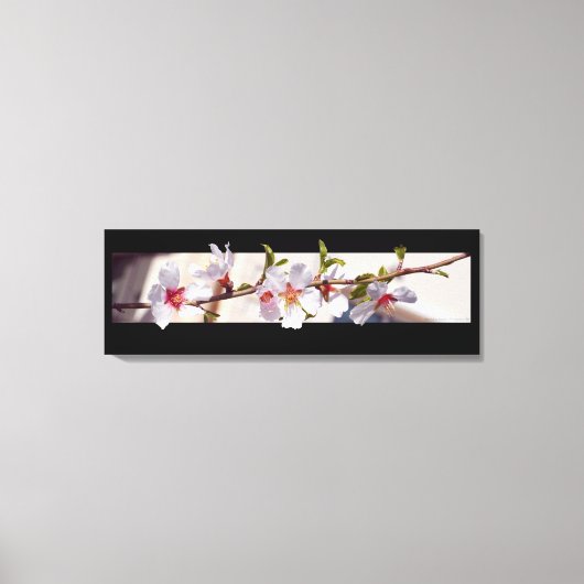 Mandelbaum Blume Blüte gewickelt Leinwand (Vorderseite)