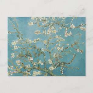 Mandelbaum in Blüte von Vincent Van Gogh Postkarte