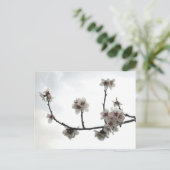 Mandelbaum Postkarte (Stehend Vorderseite)