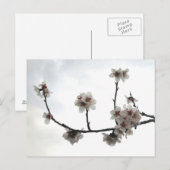 Mandelbaum Postkarte (Vorne/Hinten)