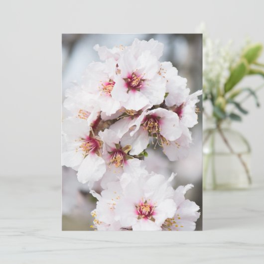 Mandelblüte Einladung (Stehend Vorderseite)