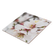 Mandelblüte Fliese (Seite)