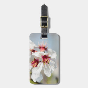Mandelblüte Gepäckanhänger