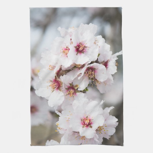 Mandelblüte Geschirrtuch (Vertikal)