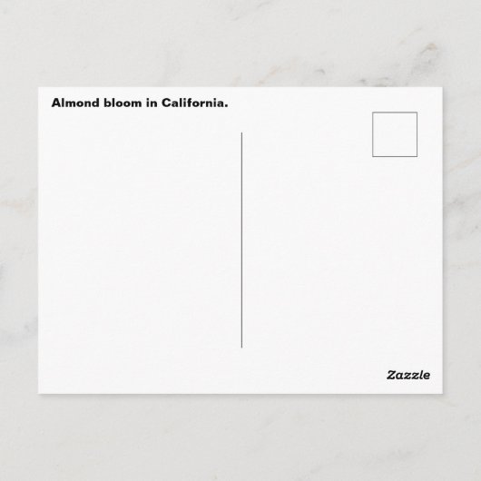 Mandelblüte in Kalifornien Postkarte (Rückseite)