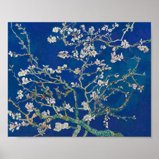 Mandelblüte (Indigo) | Van Gogh | Poster (Vorne)