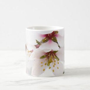 Mandelblüte Kaffeetasse