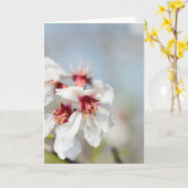 Mandelblüte Karte (Gelbe Blume)