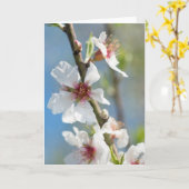 Mandelblüte Karte (Gelbe Blume)