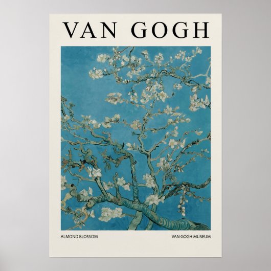 Mandelblüte Poster (Vorne)