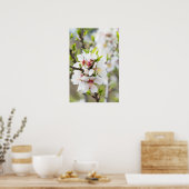 Mandelblüte Poster (Küche)