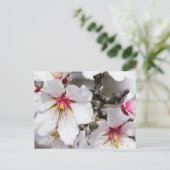 Mandelblüte Postkarte (Stehend Vorderseite)
