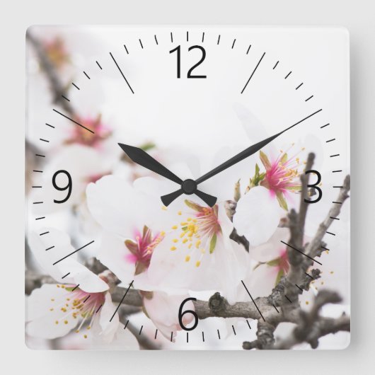 Mandelblüte Quadratische Wanduhr (Vorderseite)