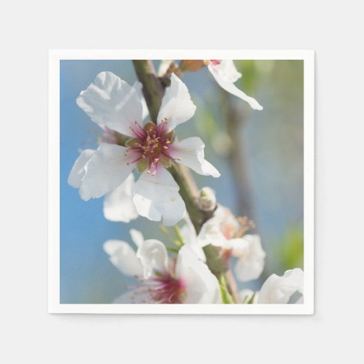 Mandelblüte Serviette (Vorderseite)