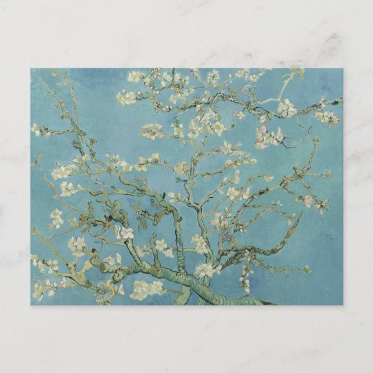 Mandelblüte, Vincent Van Gogh, Postkarten (Vorderseite)