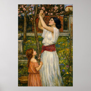 Mandelblüten pflückend von Waterhouse Poster