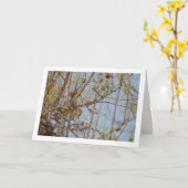 Mandeln in Zweigstellen Karte (Gelbe Blume)