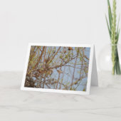 Mandeln in Zweigstellen Karte (Vorderseite)