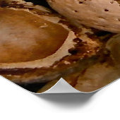 Mandeln-Muscheln leer gebrochen Poster (Ecke)