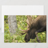 Mandering Moose Briefpapier (Vorne/Hinten)