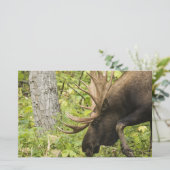 Mandering Moose Briefpapier (Stehend Vorderseite)