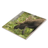Mandering Moose Fliese (Seite)