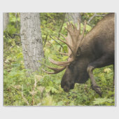 Mandering Moose Geschenkpapier (Flach)